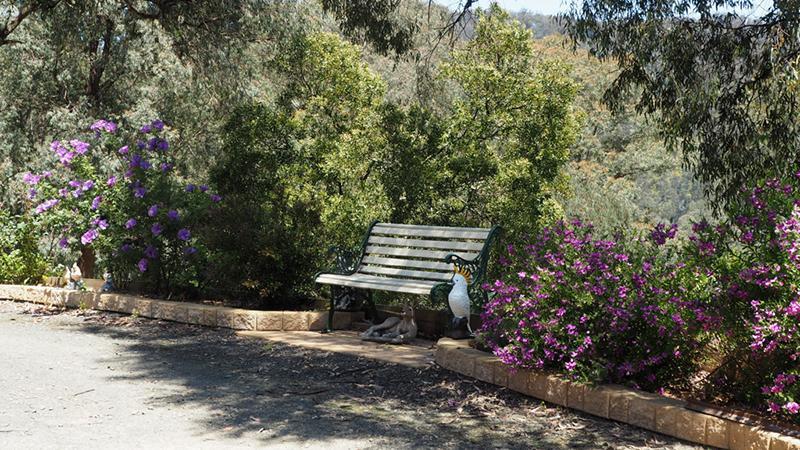 Walhalla Wild Cherry Bagian luar foto