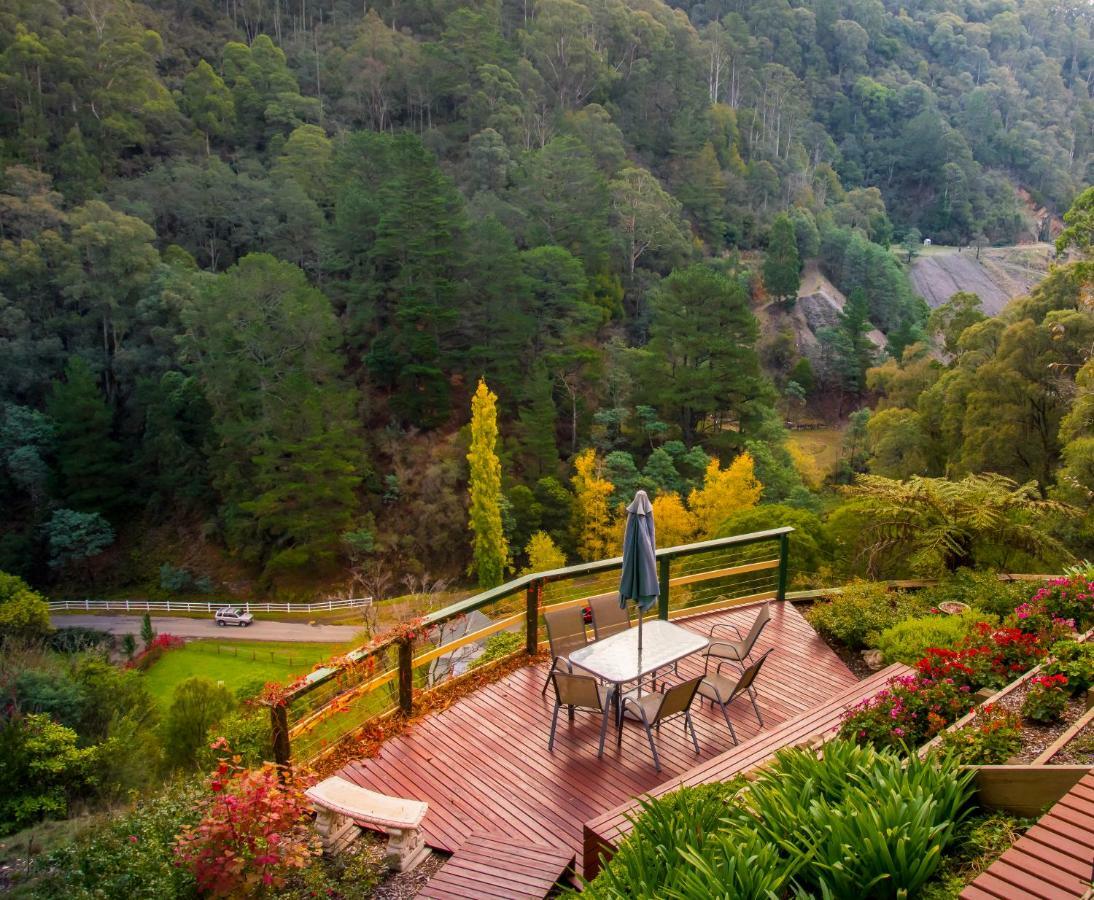 Walhalla Wild Cherry Bagian luar foto