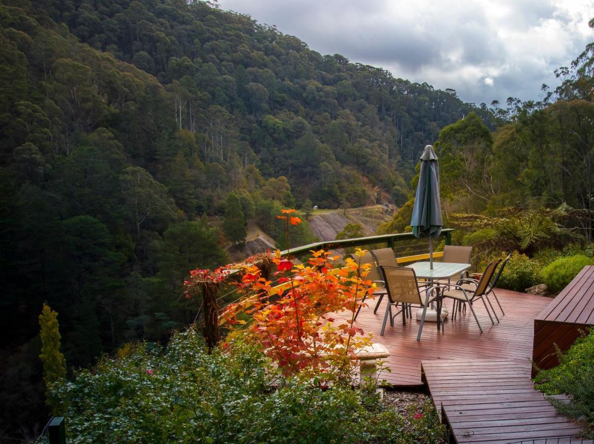 Walhalla Wild Cherry Bagian luar foto
